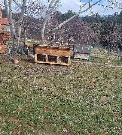 Vikendica Kuca Za Odmor Jozic Golubic (Zadar)