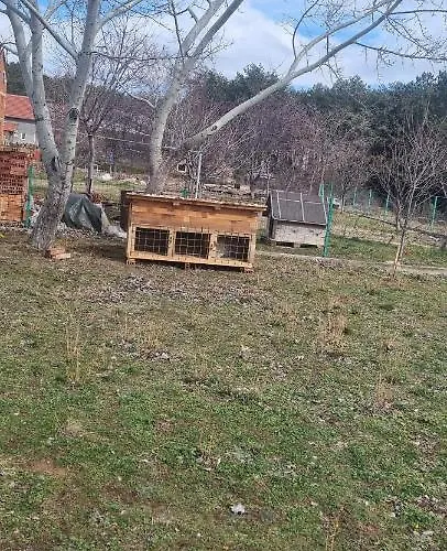 Σπίτι διακοπών Kuca Za Odmor Jozic Golubic (Zadar)